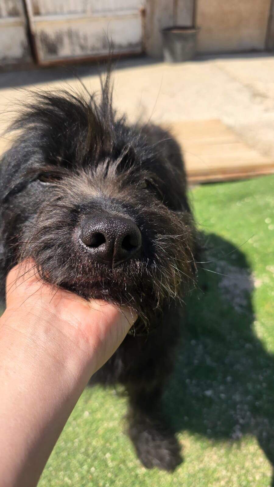 Gabby