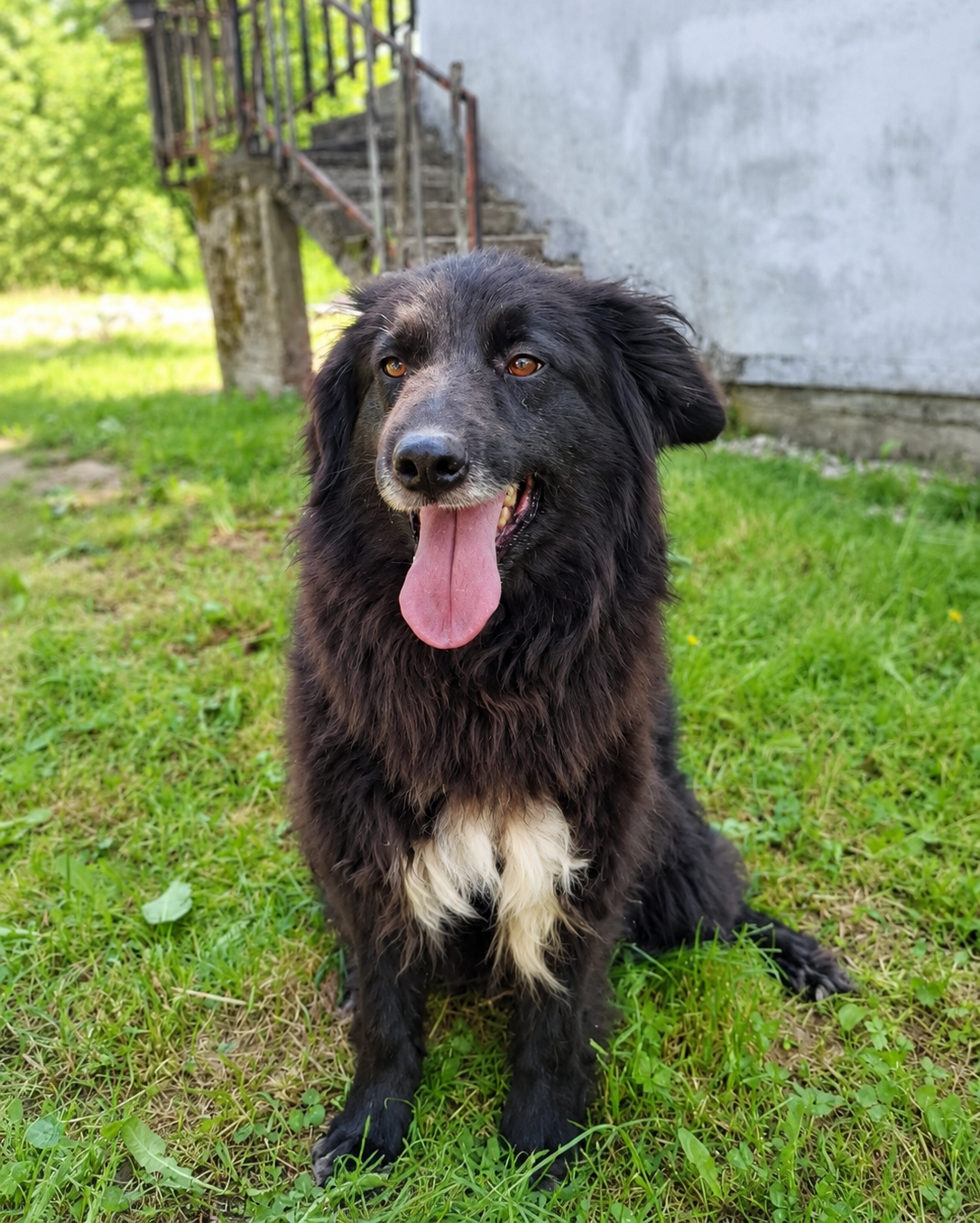 Nerko