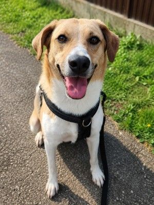 Carlos 