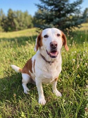 Marley
