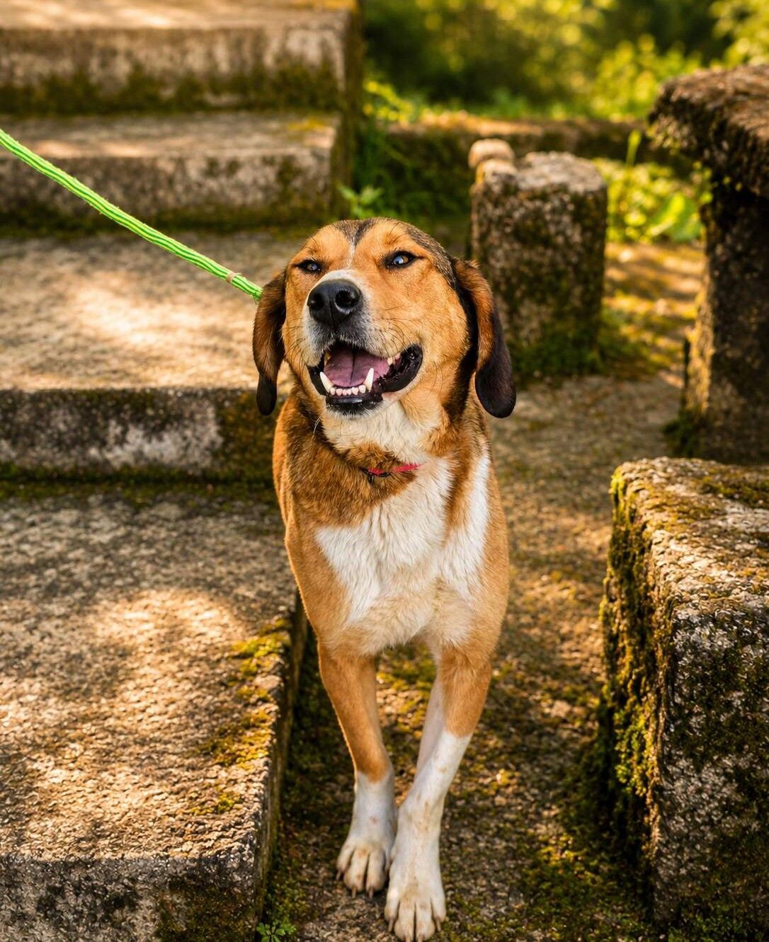 Sammy