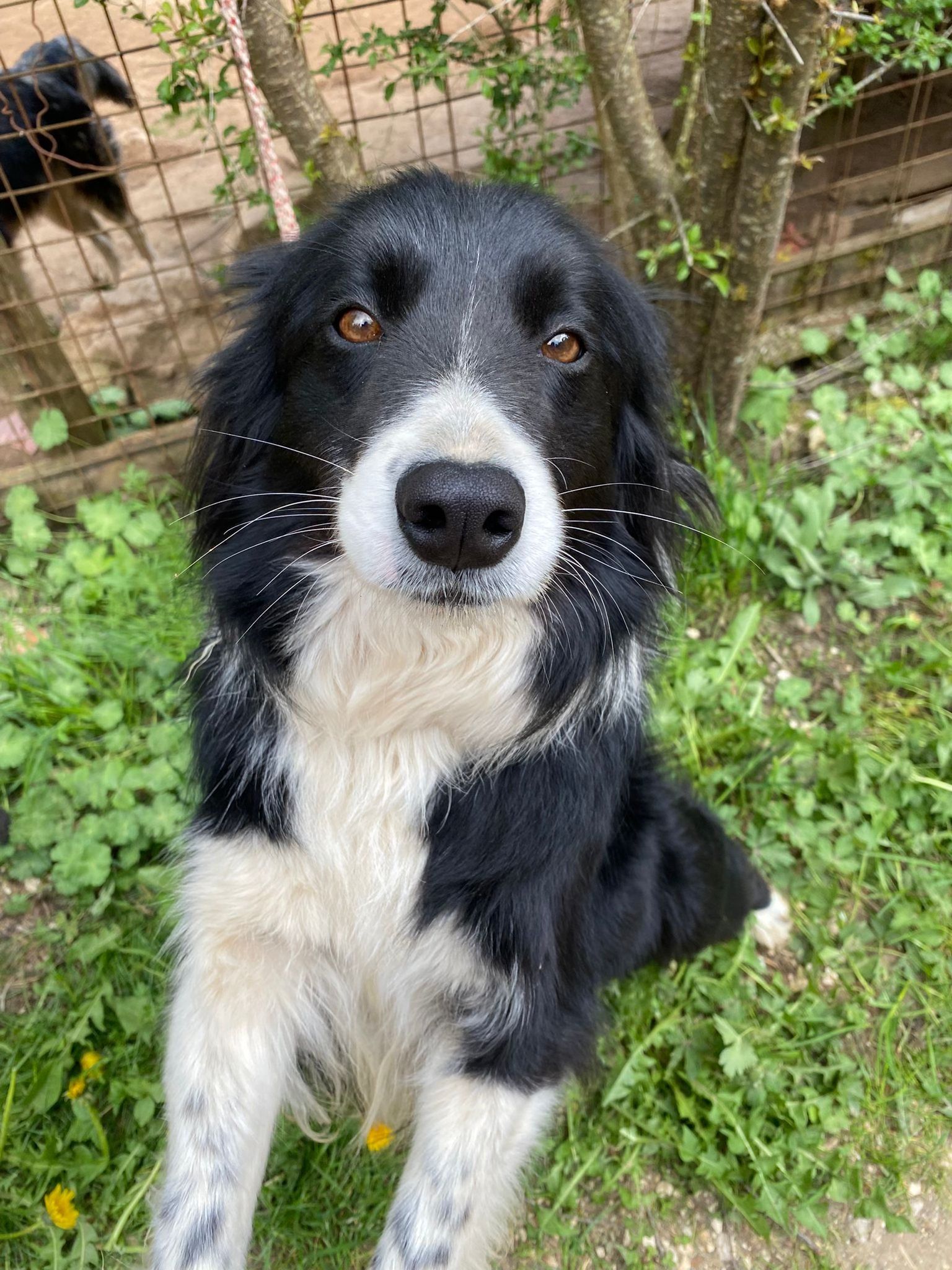 Tina