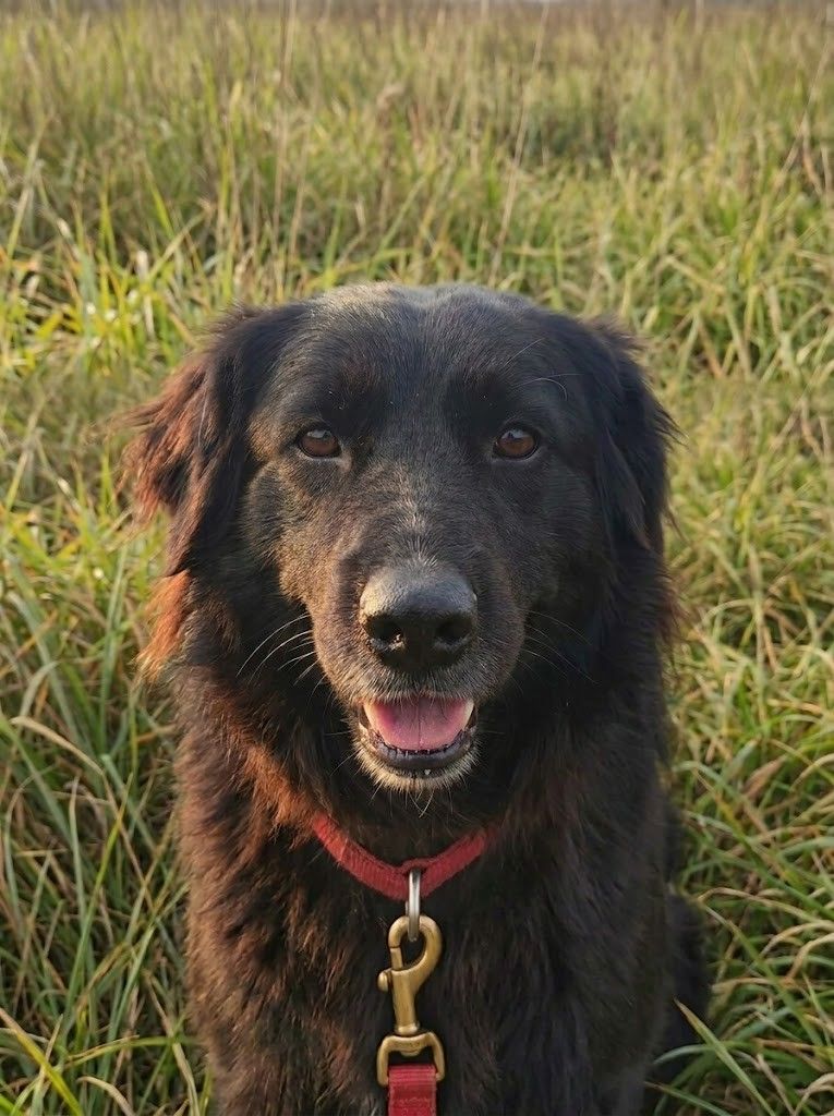 Molly