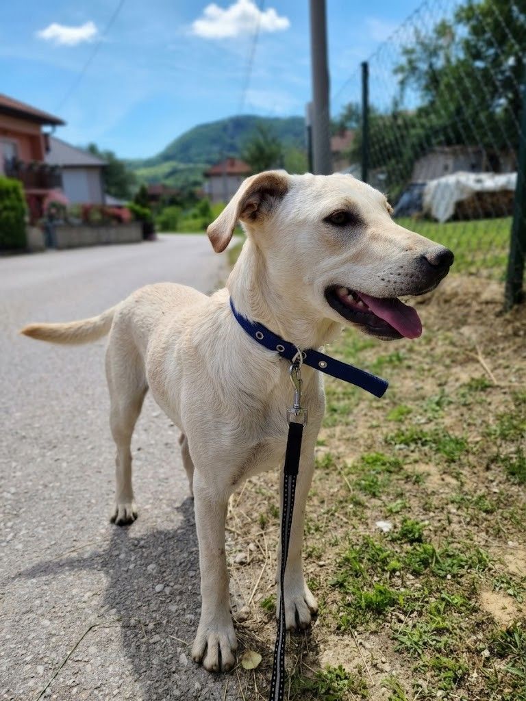 Bella