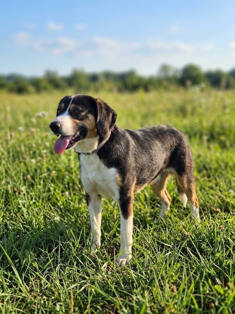 Winnie 