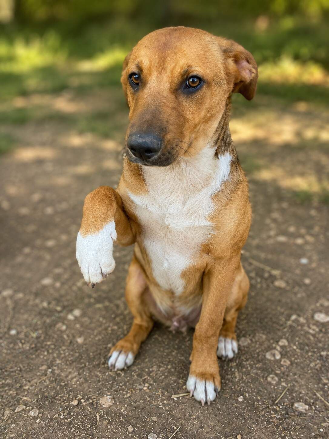 Ben