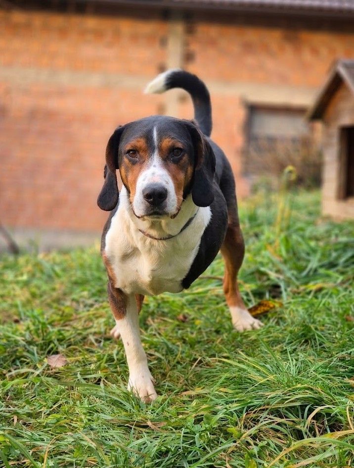 Billy