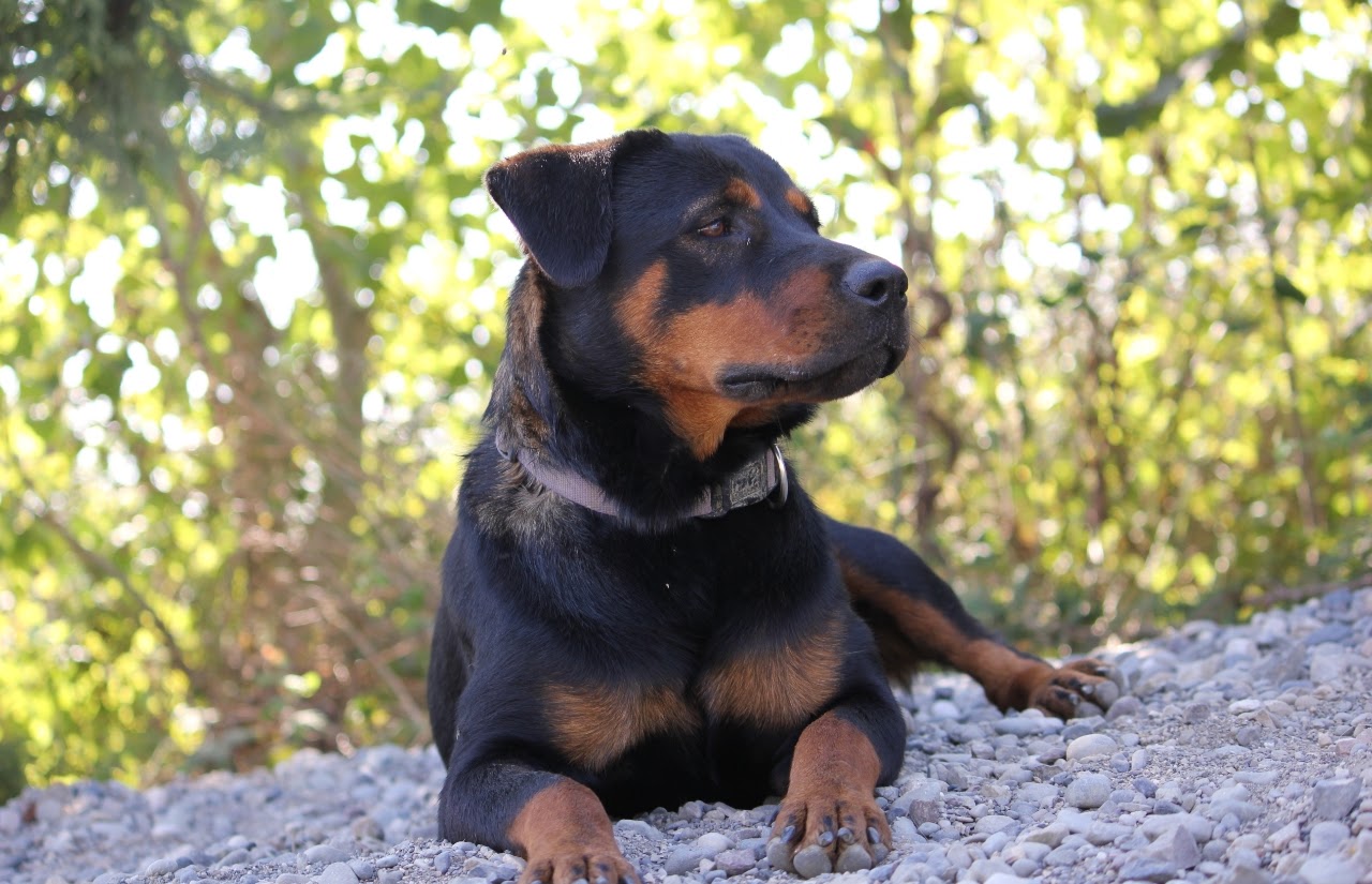 Wilma